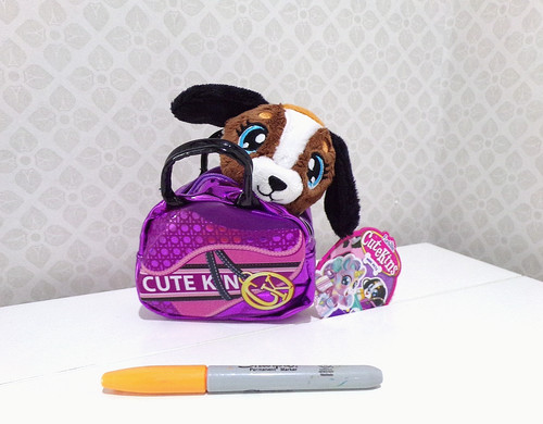 Dog puppy cute kins mini - dog,
