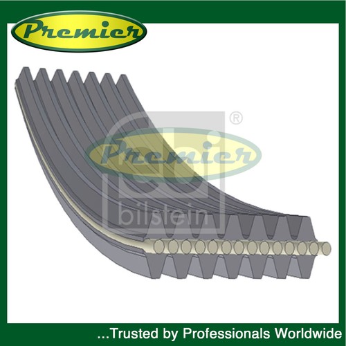 Premier alternator belt fits - premier,
