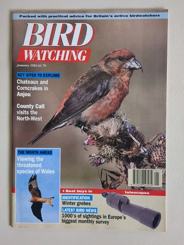 Vintage bird watching magazine - watching,
