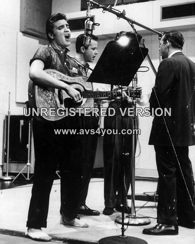 Elvis presley 8 - 10", x