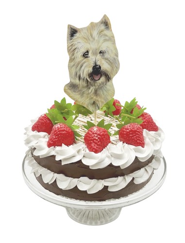 West highland terrier cake - west,