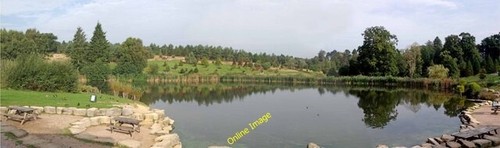 Photo 6x4 pinetum - 6x4,