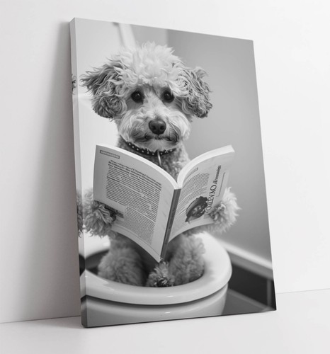 Toy poodle dog - toy, on