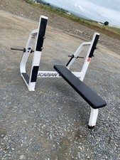 Precor Icarian Olympic Flat