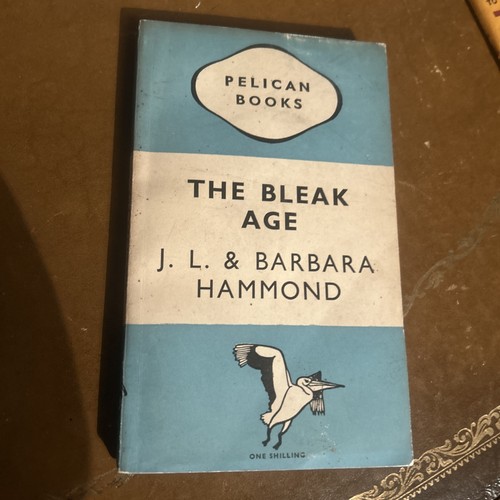 The bleak age - age, l