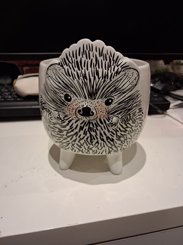 Hedgehog plant pot - pot, wilko