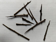 10 Natural BLACKTHORN Thorns Organic English Witch Spells Ritual  Pagan Wiccan