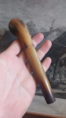 19th century horn - 19th,