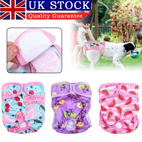 3pcs female dog - female, diaper