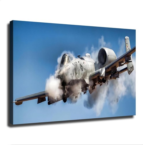 A10 thunderbolt warthog - ii,