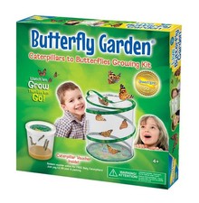 Insect Lore Giant Live