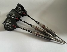 Professional Darts Set 22g