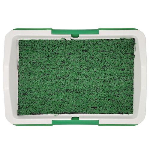 Dog pet toilet - dog, indoor