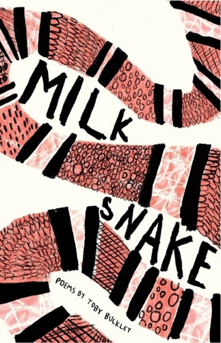 Milk snake toby buckley - toby,