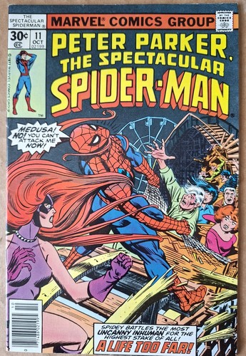 Spectacular spider man - spectacular,