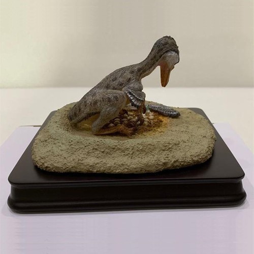 Favorite troodon formosus - favorite,