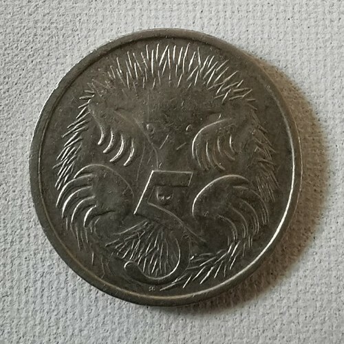 Rare 1967 australian hedgehog - rare.,