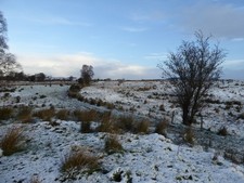 Photo 6x4 Rough ground, Carony