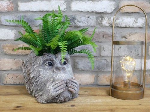 Rustic monkey head garden - monkey,