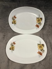 Vintage Retro JAJ Pyrex AUTUMN GLORY 12"-9" Oval Steak Dinner Plates Platter x2