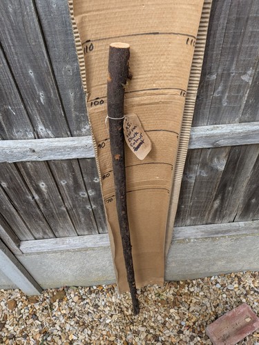 Blackthorn walking stick shank - walking,