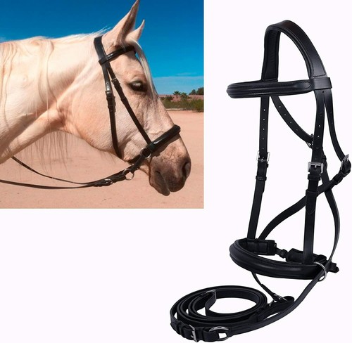 Certified horse western - certified,