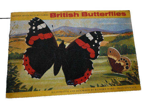 British butterflies brooke - butterflies,
