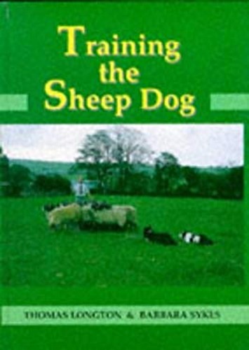Training the sheep dog - training,