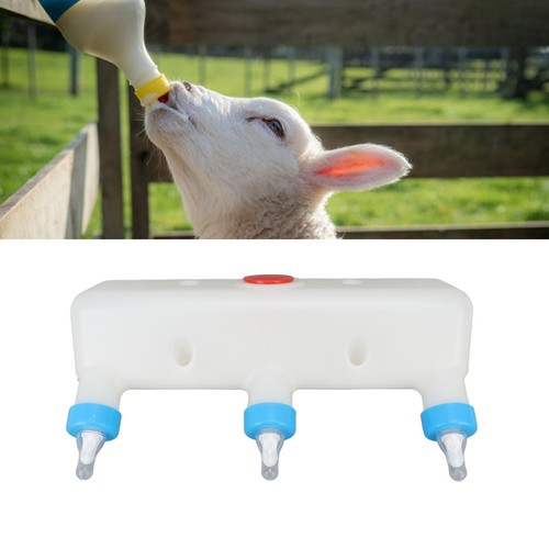 Lamb feeder with nipples - with, 3