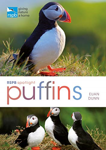 Rspb spotlight puffins - spotlight:,