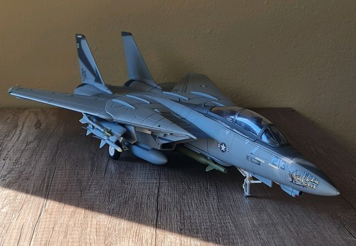 Tomcat fmpm flir - tomcat, cat"