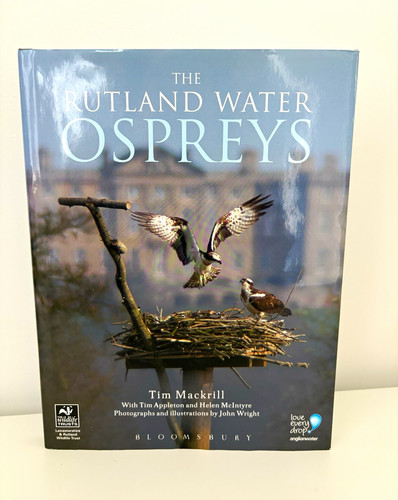 The rutland water - rutland, ospreys