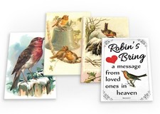 Robins Robin Red Breast Bird Vintage Set B 4 X Fridge Magnets (B) Set Retro