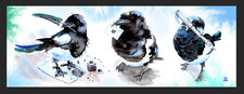 Watercolour Cute Magpies Birds