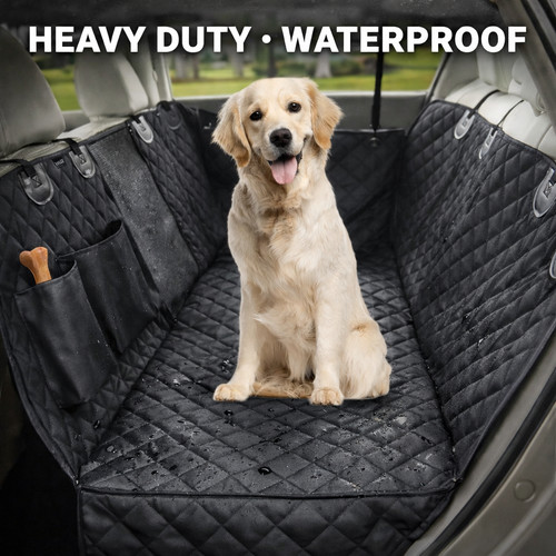Dog car back - dog,