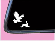 Bird catching prey TP 624