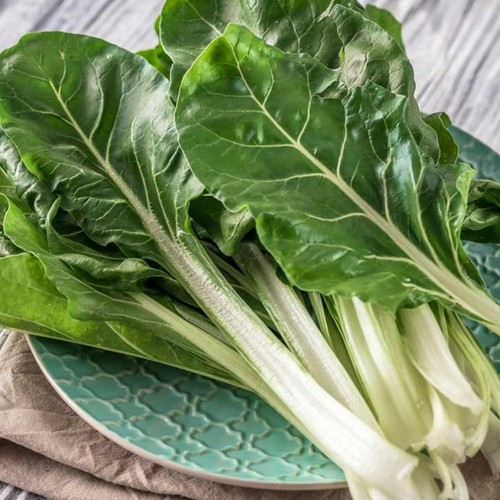 Swiss chard vegetable plant - vegetable, 6