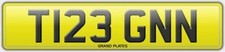 T123 GNN REGISTRATION TEIGEN
