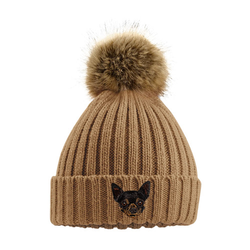 Black tan chihuahua - black, pom
