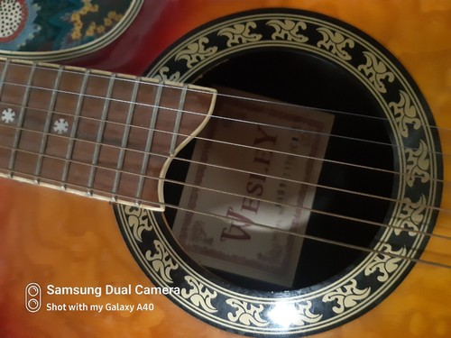 Wesley electric guitar - wesley,