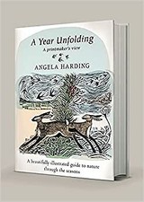 A Year Unfolding: A