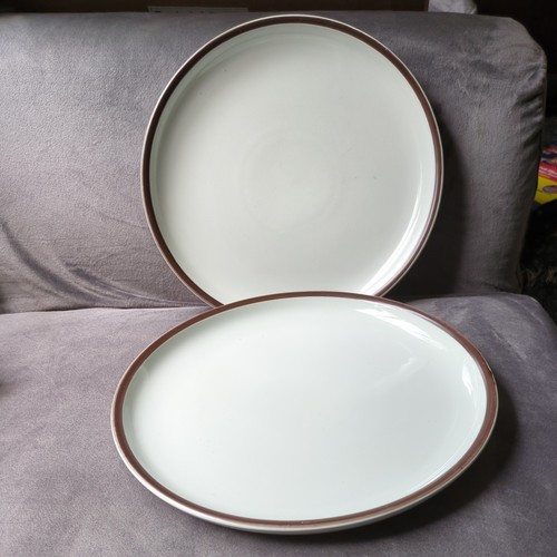 Denby dinner plates - 2,