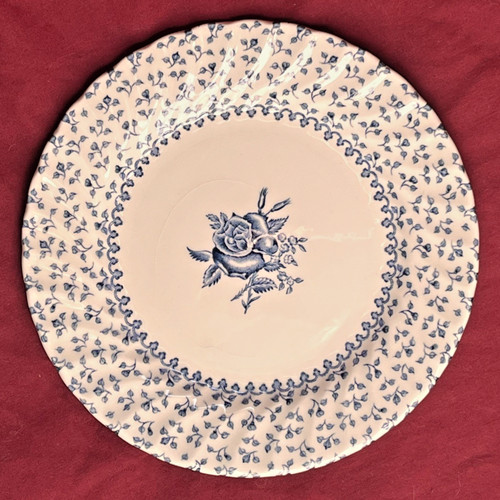 Vintage royal victoria rose - vintage,