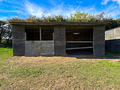 Timber horse grazing shelter - grazing,