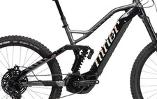 Frame Pivot Bearing Kit |