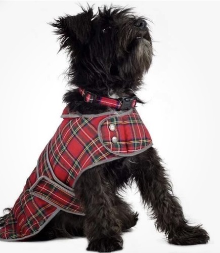 Ancol muddy paws highland dog - highland,