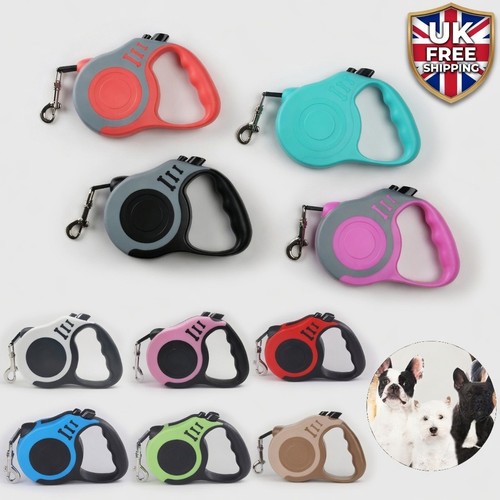 Retractable dog lead - dog,