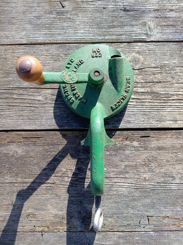 Vintage green spong bean - ,