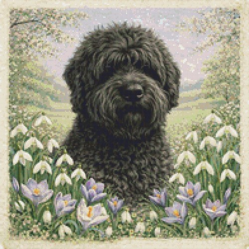 Black russian terrier - black, puppy