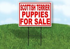 Scottish Terrier PUPPIES FOR